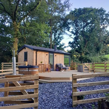 Ty Nant Gwenyn Villa Llanymawddwy Екстериор снимка